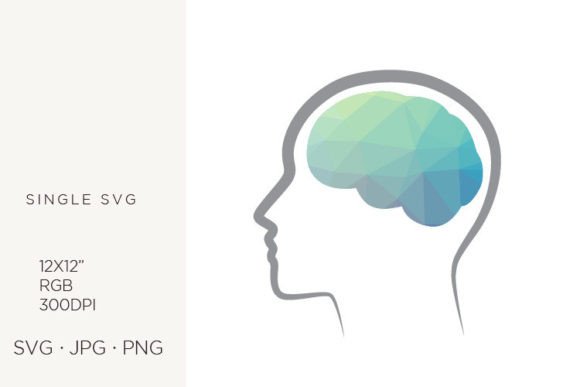 Geometric Human Brain Graphics Review