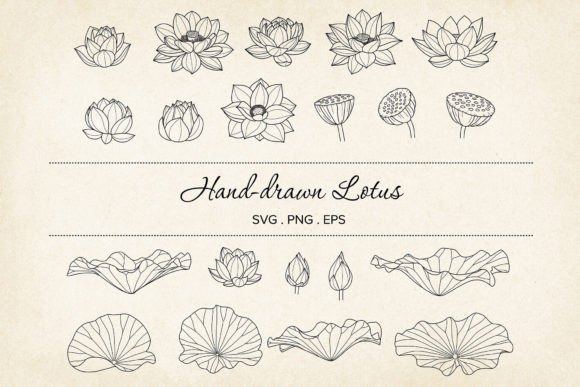 Lotus SVG Vector Bundle Review for Embroidery Projects