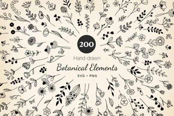 Minimal Botanical Element Bundle Review