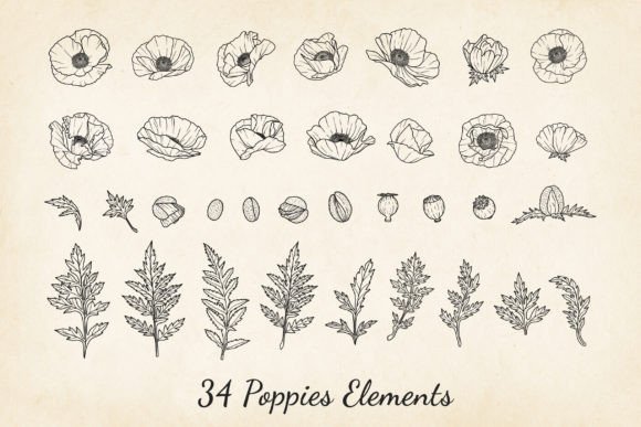 Poppies SVG Fine Line Vector Graphics