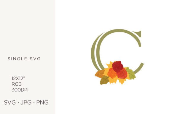 Rose Flowers As a Part of Letter C
