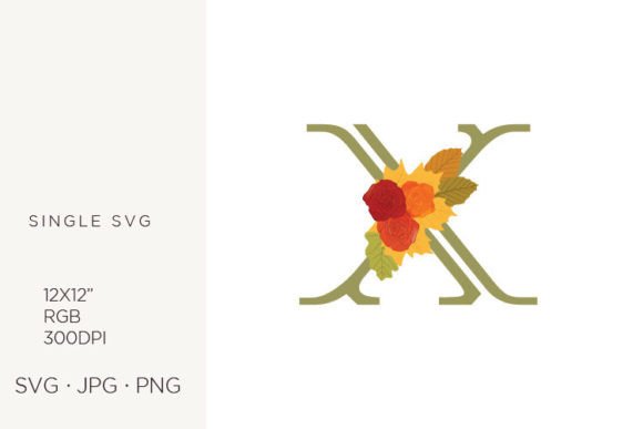 Rose Flowers As a Part of Letter X Graphics for Blog and Website Use