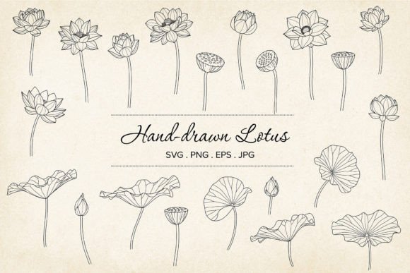 Vector Lotus SVG Bundle for Modern Web Design
